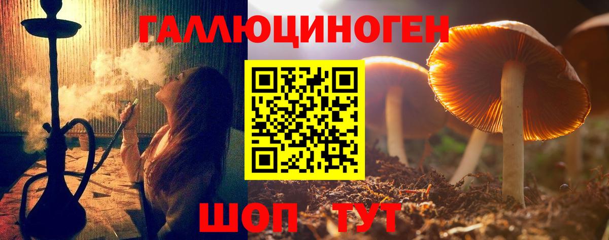 Псилоцибиновые грибы MAGIC MUSHROOMS Йошкар-Ола
